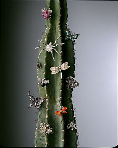 Jewel encrusted insects on a cactus – Photograph by George Ong