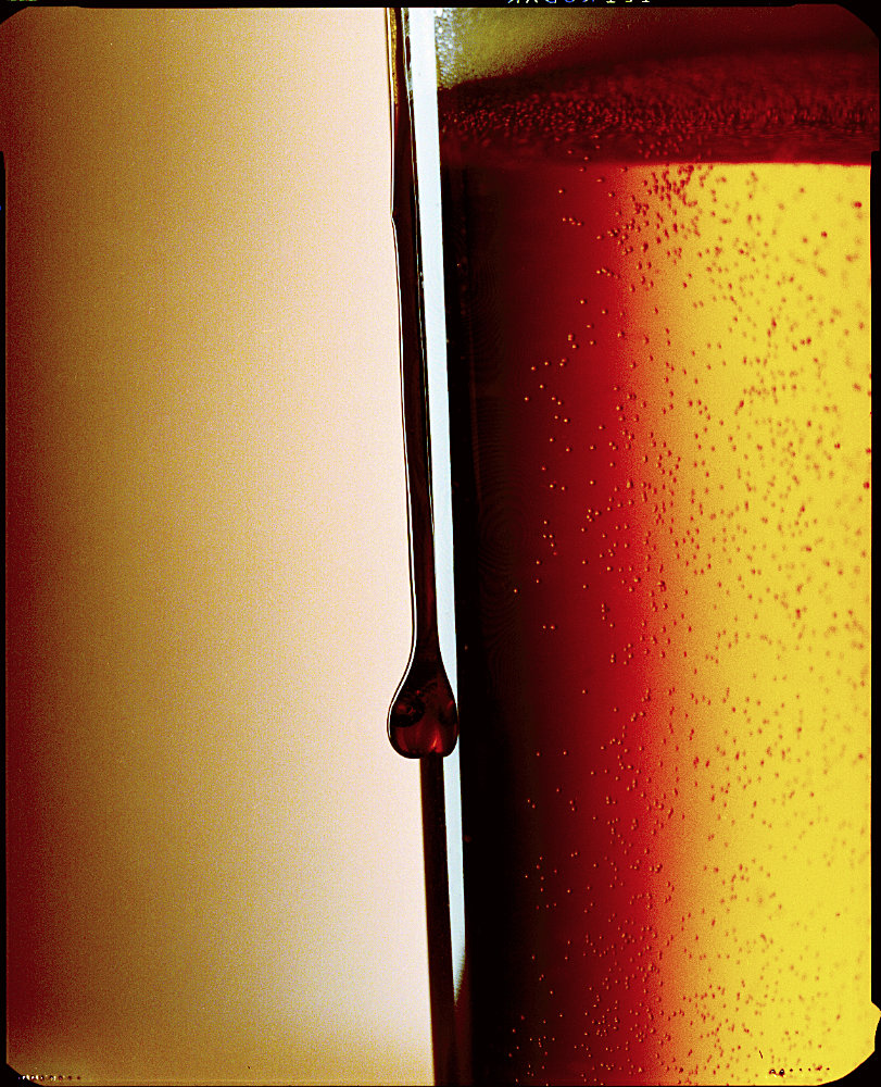 Close up of glass full of lager – Photograph by George Ong